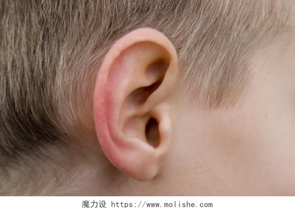 人体耳朵特写金发男孩的耳朵人物耳朵特写爱耳日图片